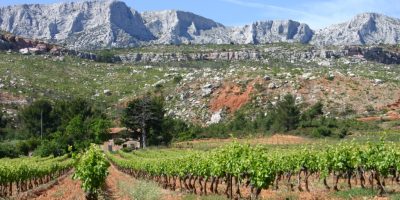 Terre-de-Mistral-7