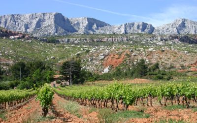 Terre-de-Mistral-7